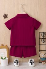Stylish Toddler Maroon Summer Co-Ord Set for Boys
