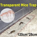 Transparent Sticky Mouse Glue Trap Transparent Sticky Mouse Glue Trap