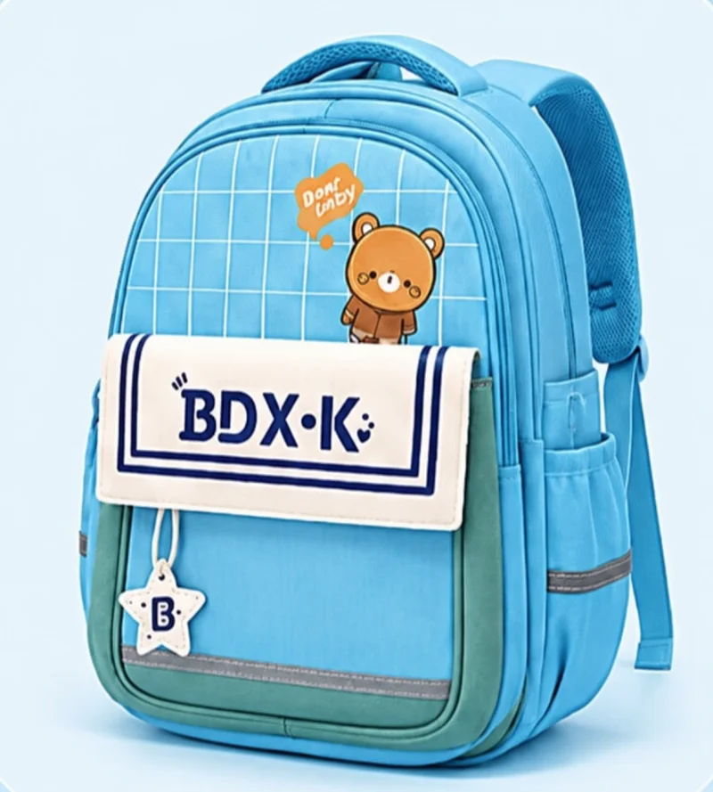 Premium Quality School Bag for Girls & Boys