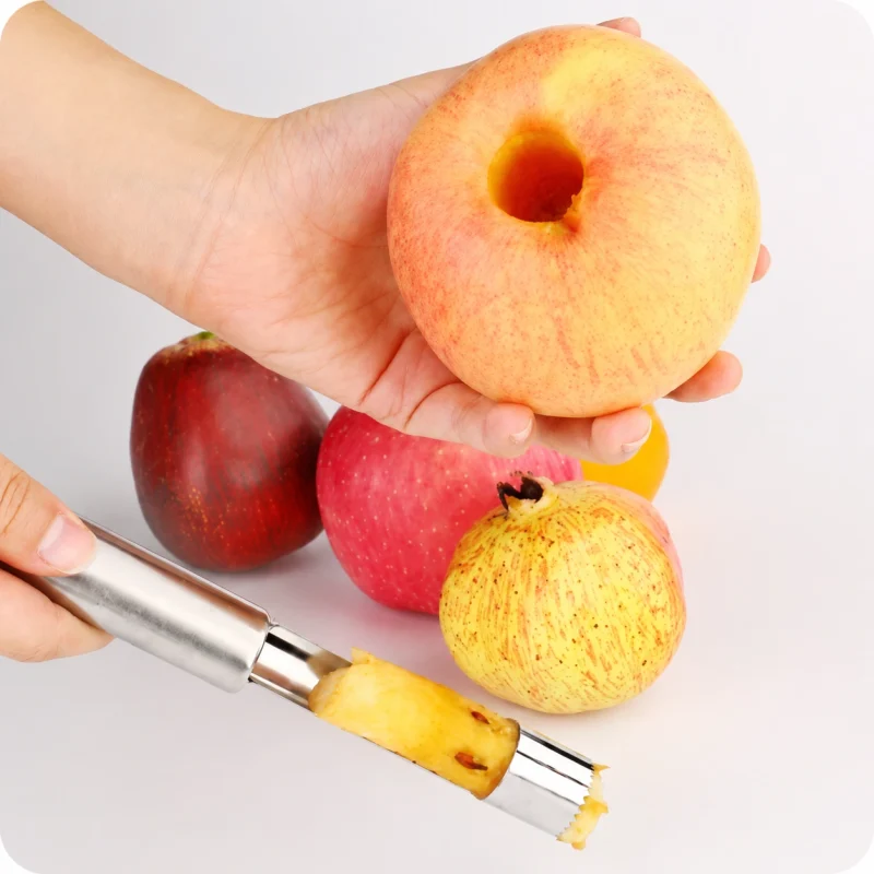 Stainless Steel Fruit Seeds Remover Stainless Steel Fruit Seeds Remover